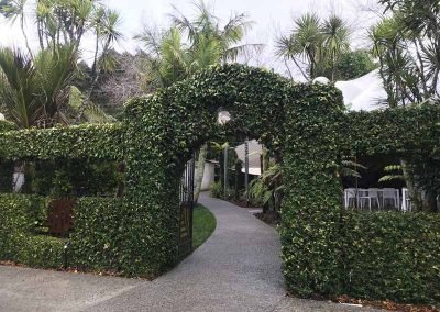 Our garden services keep the garden looking sharp after a day's maintenance in this West Auckland garden