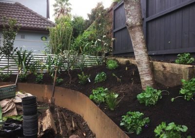 naturescapes landscape services in new zealand