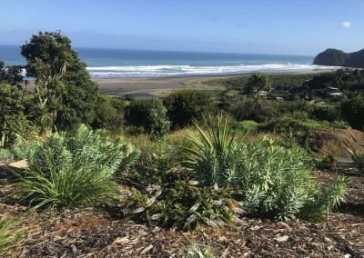 naturescapes landscaping