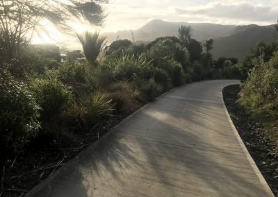 Our revegetaion planting looking awesome after a day in the garden doing garden maintenance in West Auckland