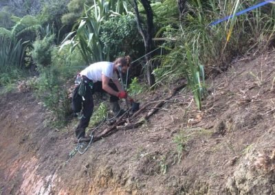 new zealand landscape supplies