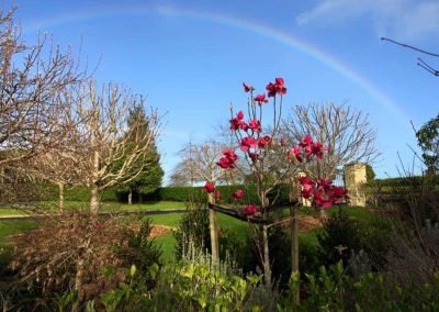 This West Auckland life style block, looking well maintained after a day of our gardening services
