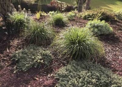 new-zealand--landscaping-ideas
