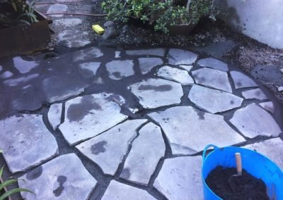 new zealand naturescapes landscape services