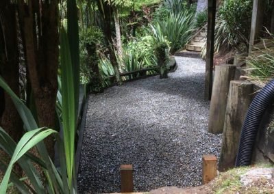 new zealand palm trees near me
