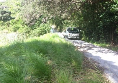 nz best landscapers