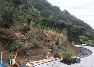 nz city council noxious weeds