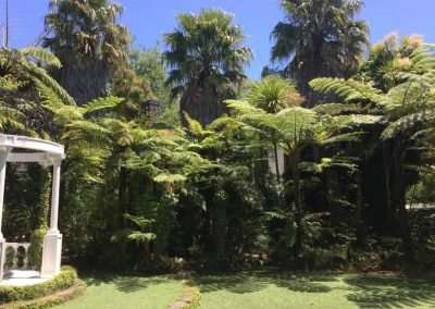nz curtling