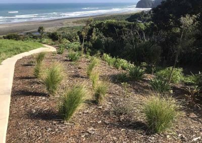 nz landscape designer