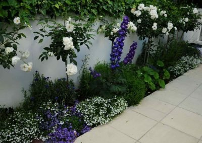 nz landscaping & gardening services