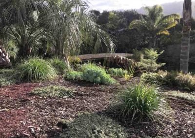 nz-landscaping-ideas