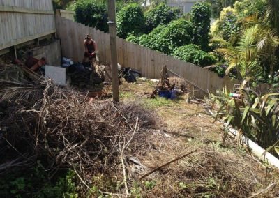 outdoor landscape ideas nz