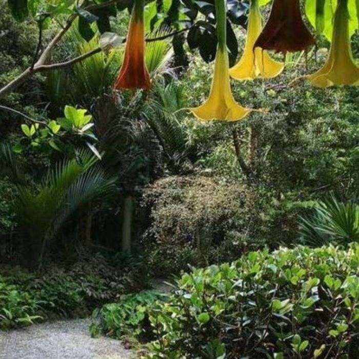 landscape-and-garden-services