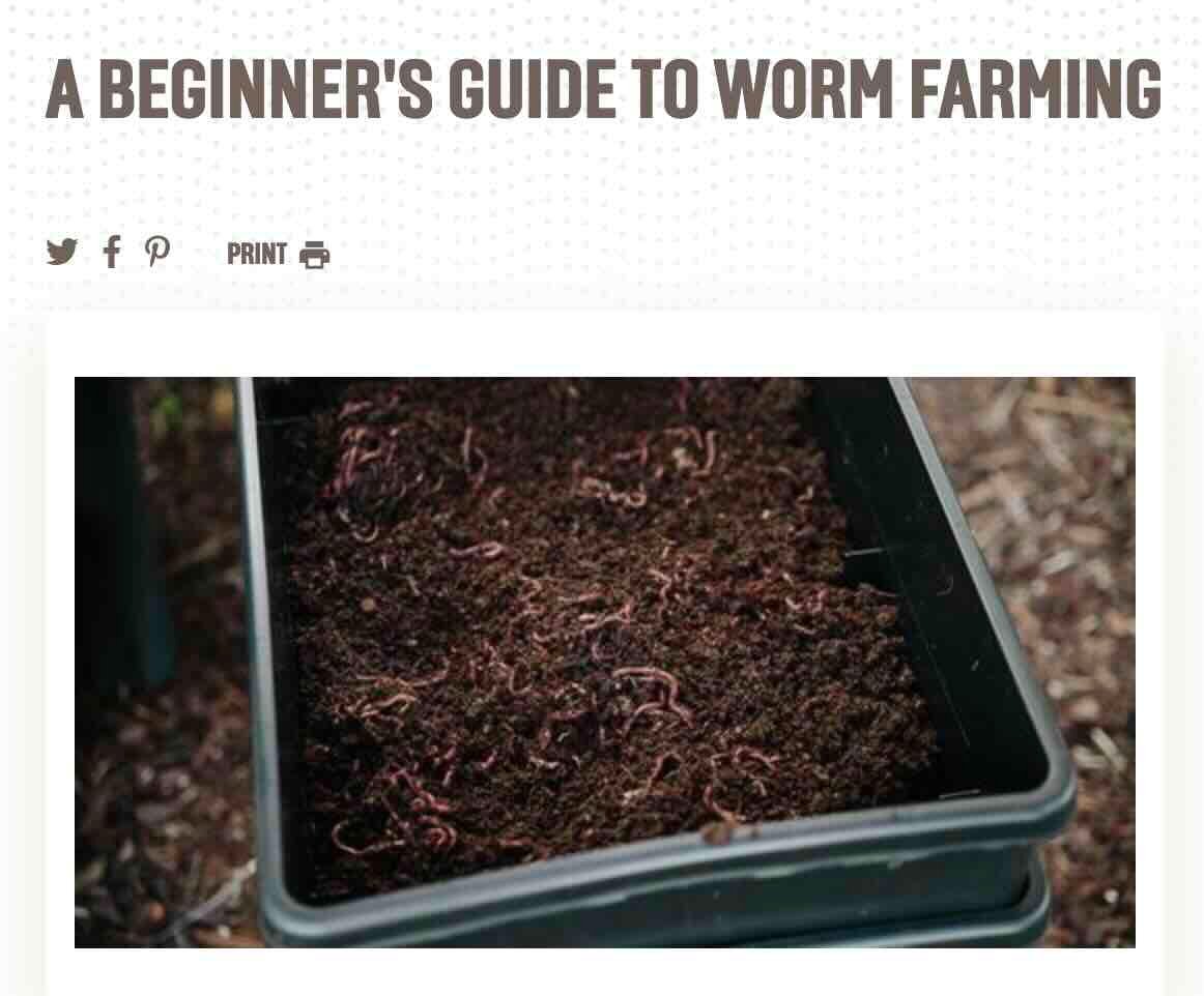 Gardening with worm farms in Auckland