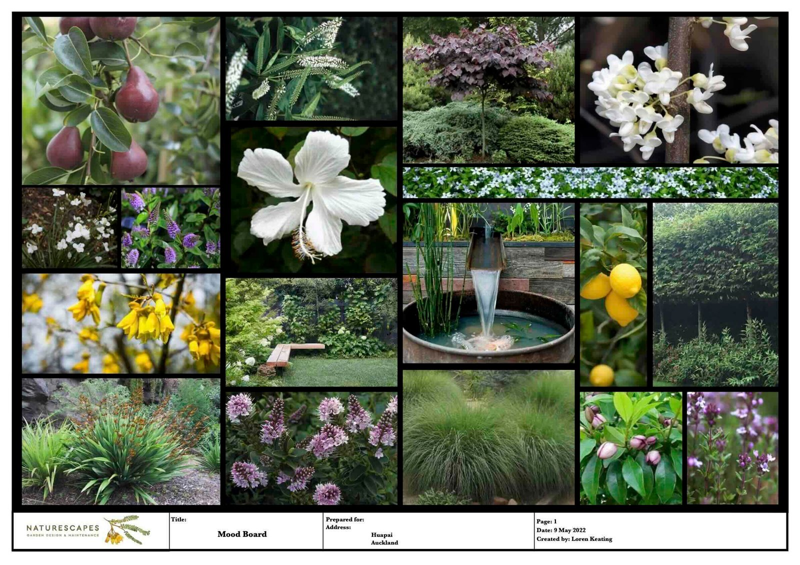 Garden-Concept-Design-Services-Auckland Concept ideas for Naturescapes, West Auckland Garden Design and Garden Maintenance services